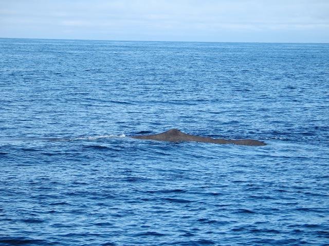 Urlaub in Norwegen 2006